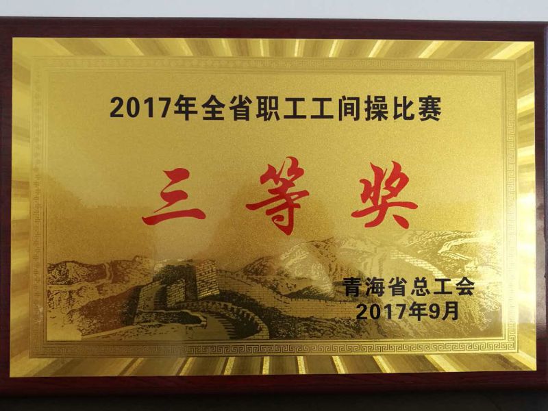 2017年全省職工工間操比賽三等獎(jiǎng)